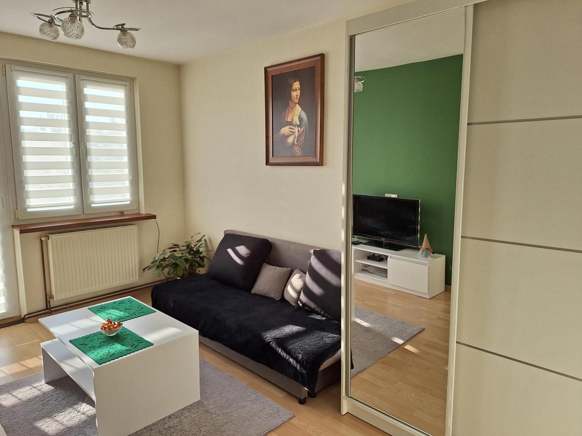 Apartment Mieszkanie Nad Sanem